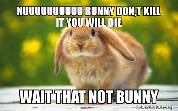 Regretful Rabbit meme