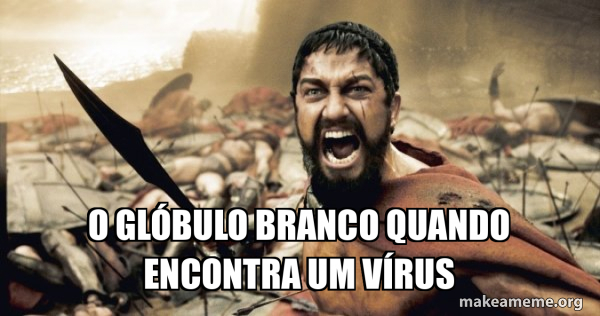 The 300 meme