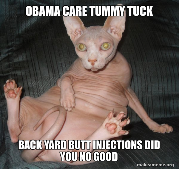 Hairless Cat meme
