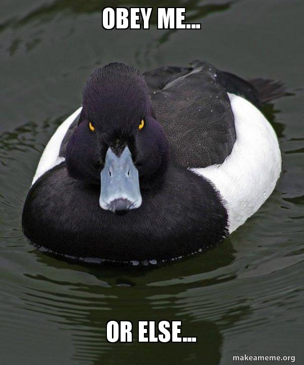 obey-me-or-kailzw.jpg