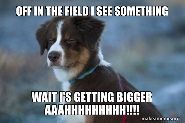 Off in the field I see something wait i's getting bigger AAAHHHHHHHHH ...