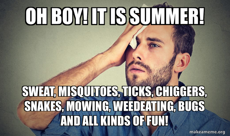 oh boy! it is summer! SWEAT, MISQUITOES, TICKS, CHIGGERS, SNAKES ...