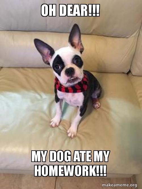 Do your homework meme picture