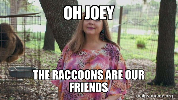 Carole Baskins (Carol ?) meme