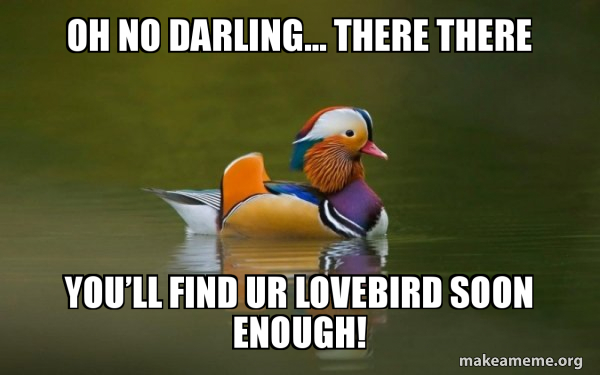 Fashionable Advice Mallard meme