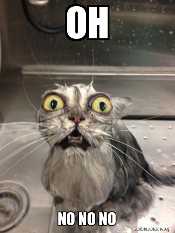 oh-no-no-no-cat-bath-meme-generator