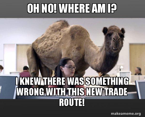 Oh No Where Am I I Knew There Was Something Wrong With This New Trade Route Hump Day Camel Make A Meme