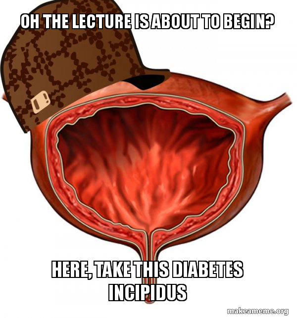 Scumbag Bladder meme