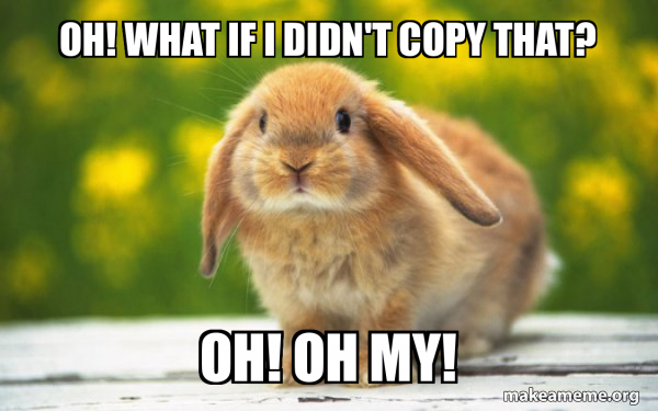 oh! what if i didn't copy that? oh! oh my! - Regretful Rabbit Meme ...