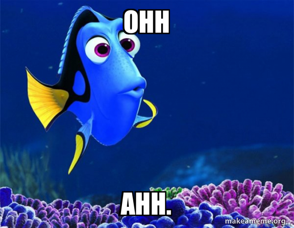 Dory from Nemo  (5 second memory) meme