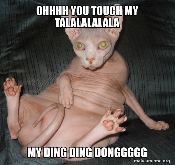 Hairless Cat meme