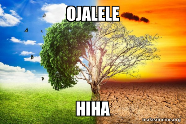 Climate Change / Global Warming meme