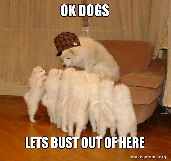 ok dogs lets bust out of here Scumbag Storytelling Dog Meme Generator