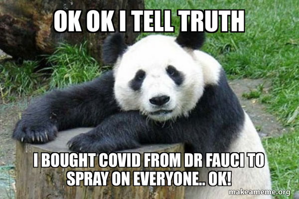 Confession Panda meme