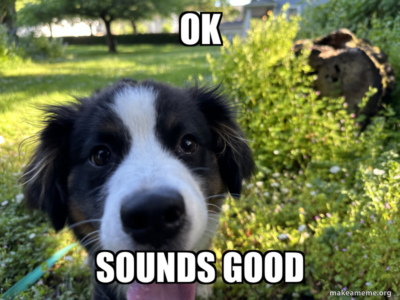 Ok Sounds good Meme Generator