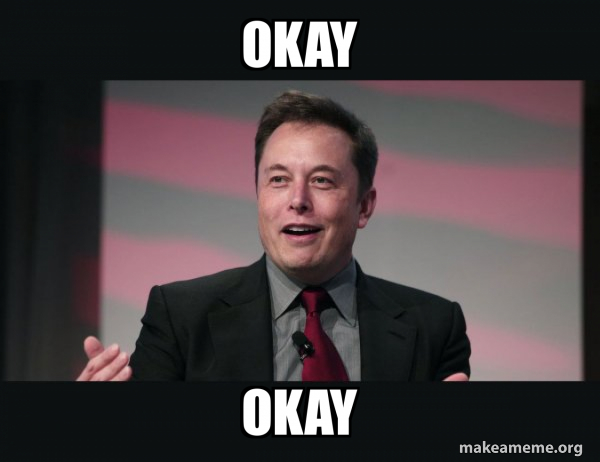 Elon Musk meme