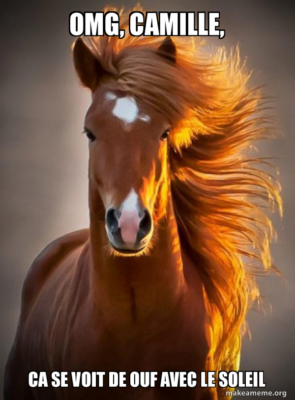 Ridiculously photogenic horse meme