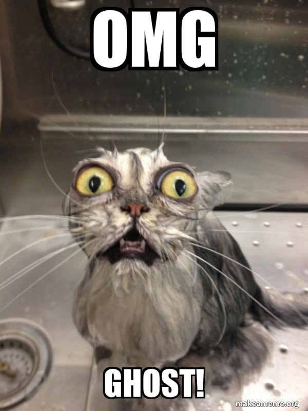 OMG GHOST! - Cat bath | Make a Meme