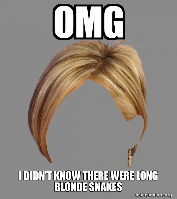 The Karen Hair meme