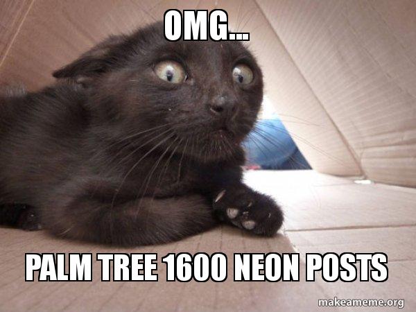 omg-palm-tree.jpg