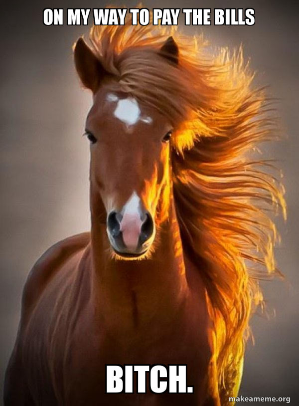 Ridiculously photogenic horse meme