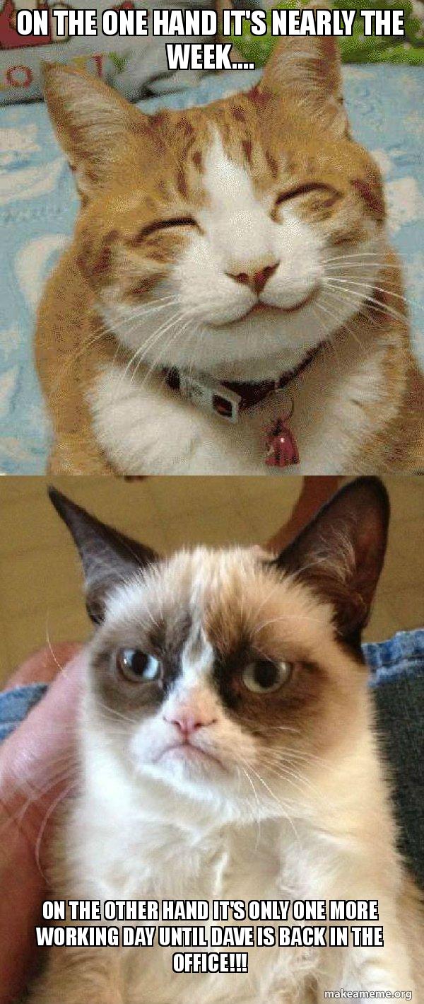 On The One Hand It S Nearly The Week On The Other Hand It S Only One More Working Day Until Dave Is Back In The Office Grumpy Cat Vs Happy Cat
