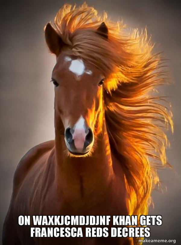 Ridiculously photogenic horse meme