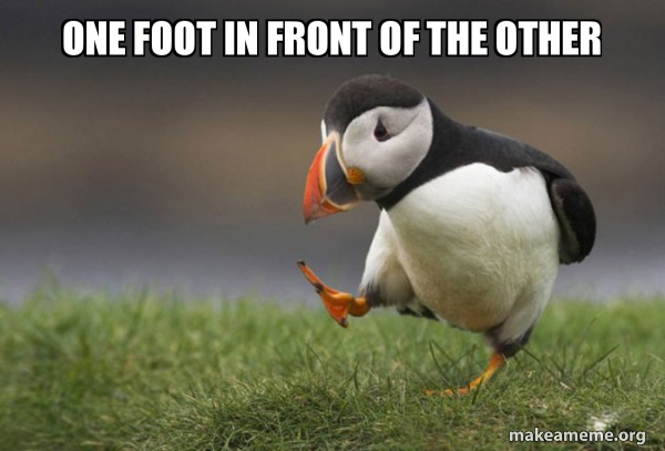 Unpopular Opinion Puffin meme