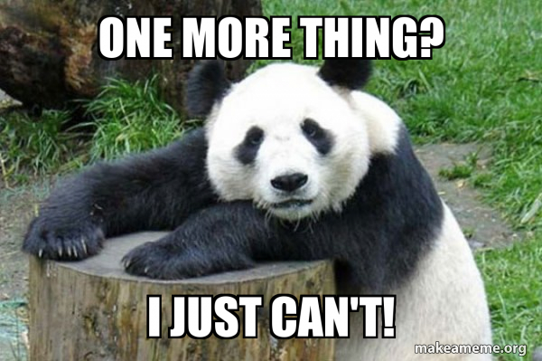 One More Thing I Just Can T Confession Panda Make A Meme