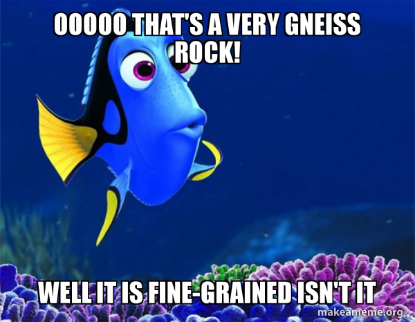 OOOOO That's a very Gneiss rock! well it is fine-grained isn't it ...