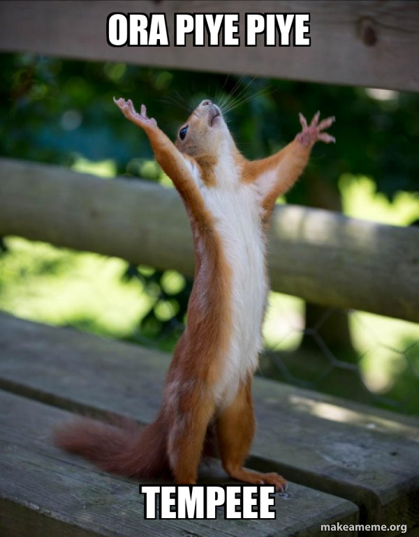 Piye Ora piye piye Tempeee - Happy Squirrel Meme Generator