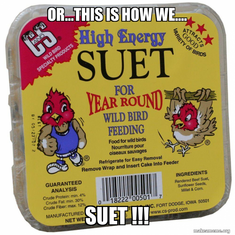 Or This Is How We Suet Make A Meme