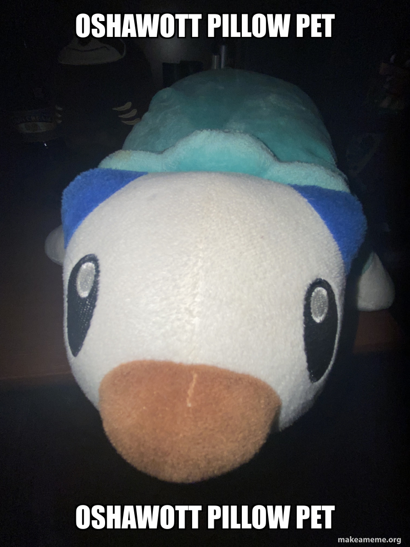 Oshawott Pillow pet OSHAWOTT PILLOW PET Make a Meme