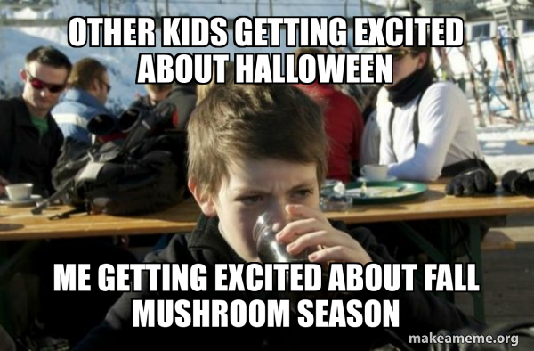 Lazy Elementary School Kid meme