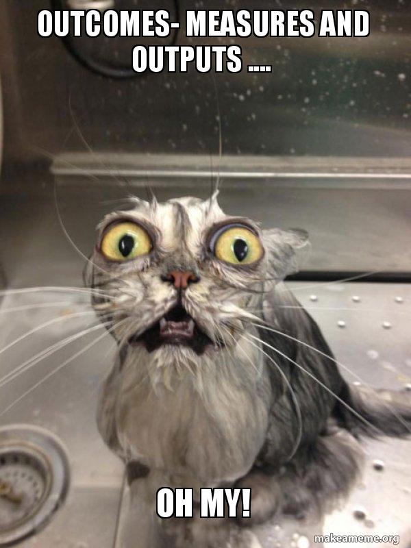 Outcomes- Measures and Outputs .... OH My! - Cat bath | Make a Meme