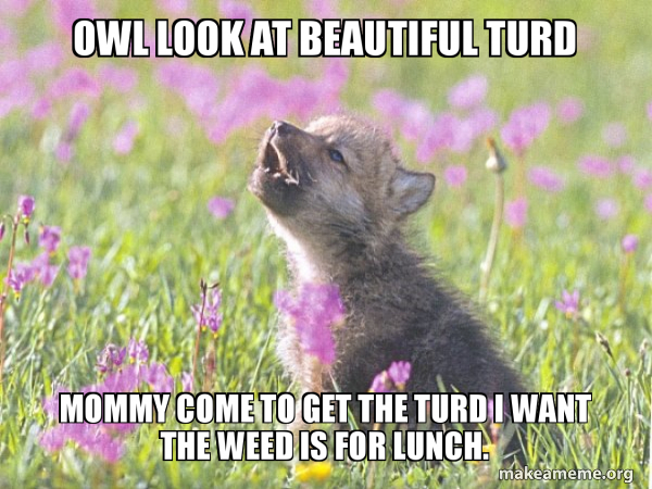 Baby Insanity Wolf meme