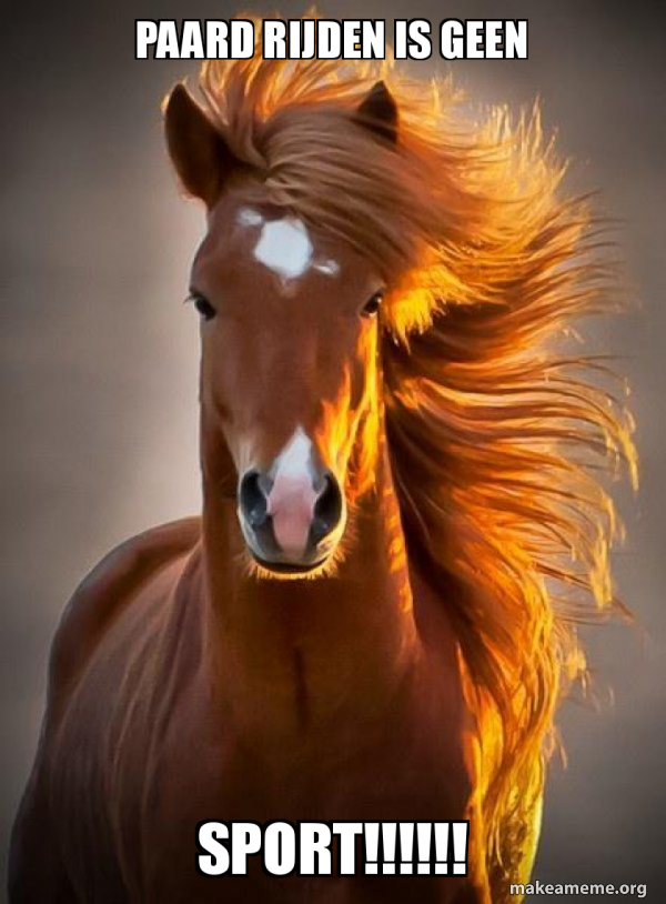 Ridiculously photogenic horse meme