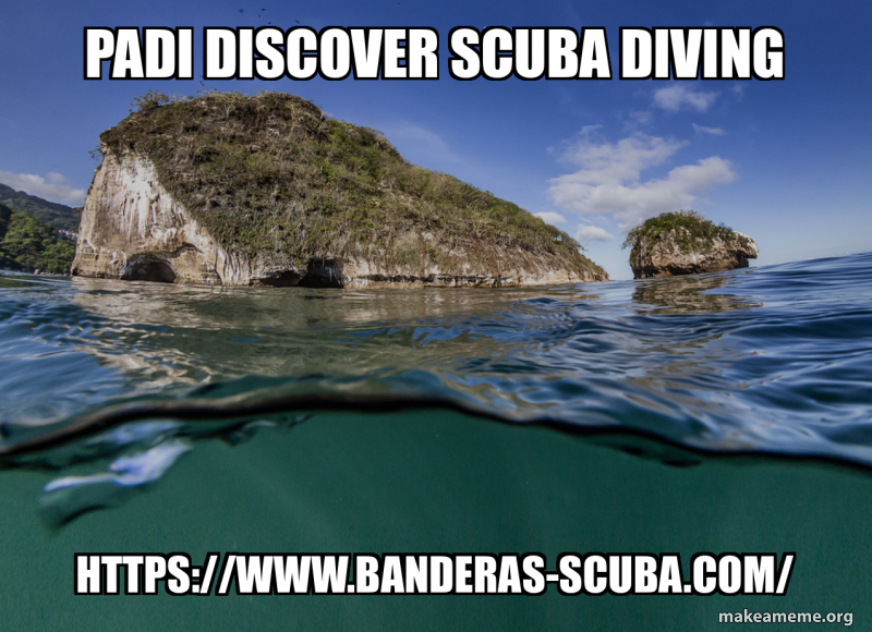 PADI Discover Scuba Diving https://www.banderas-scuba.com/ Meme Generator