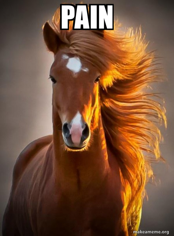 pain Ridiculously photogenic horse Meme Generator