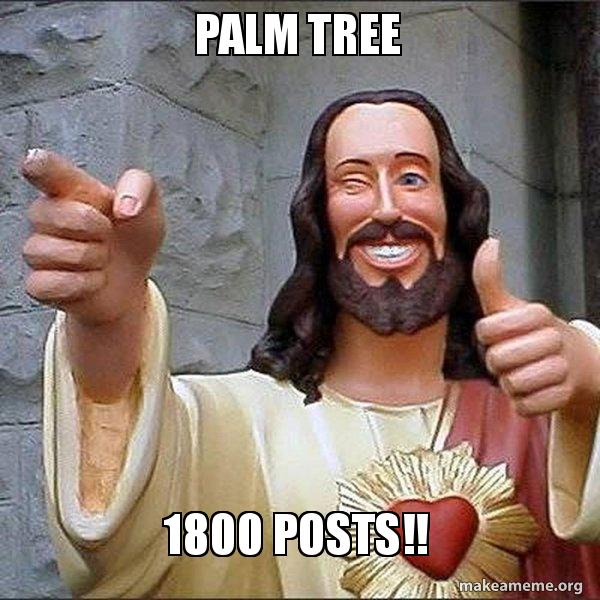 palm-tree-1800.jpg