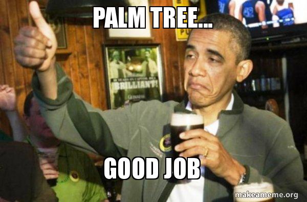 palm-tree-good.jpg