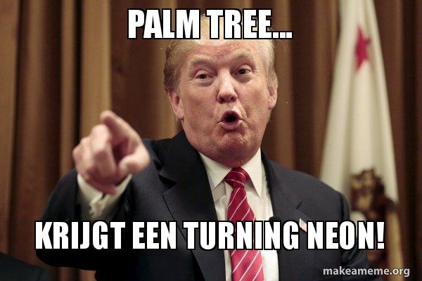 palm-tree-krijgt.jpg