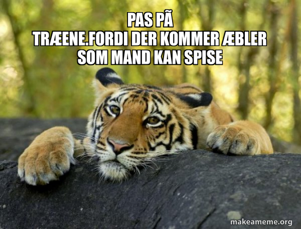 Confession Tiger meme