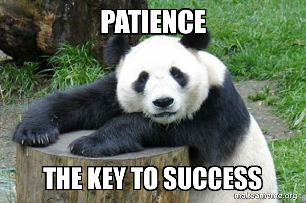 Confession Panda meme