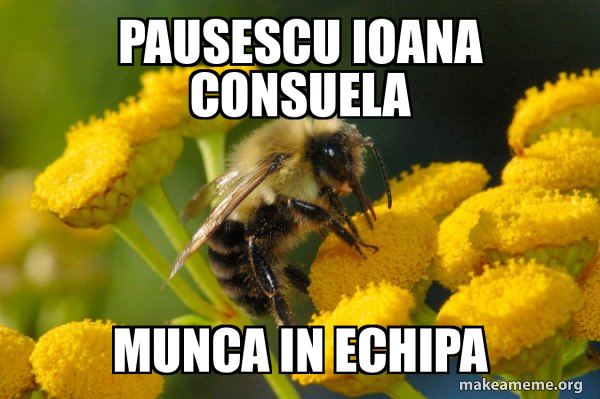 Good Guy Bee meme