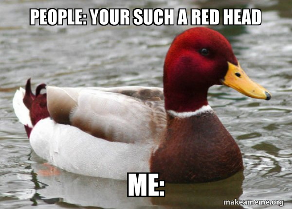 Malicious Advice Mallard meme
