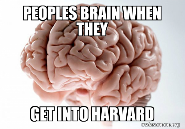 Scumbag Brain meme