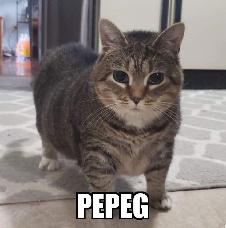 PEPEG Meme Generator