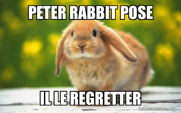 Regretful Rabbit meme