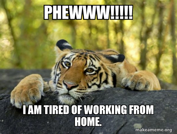 Confession Tiger meme